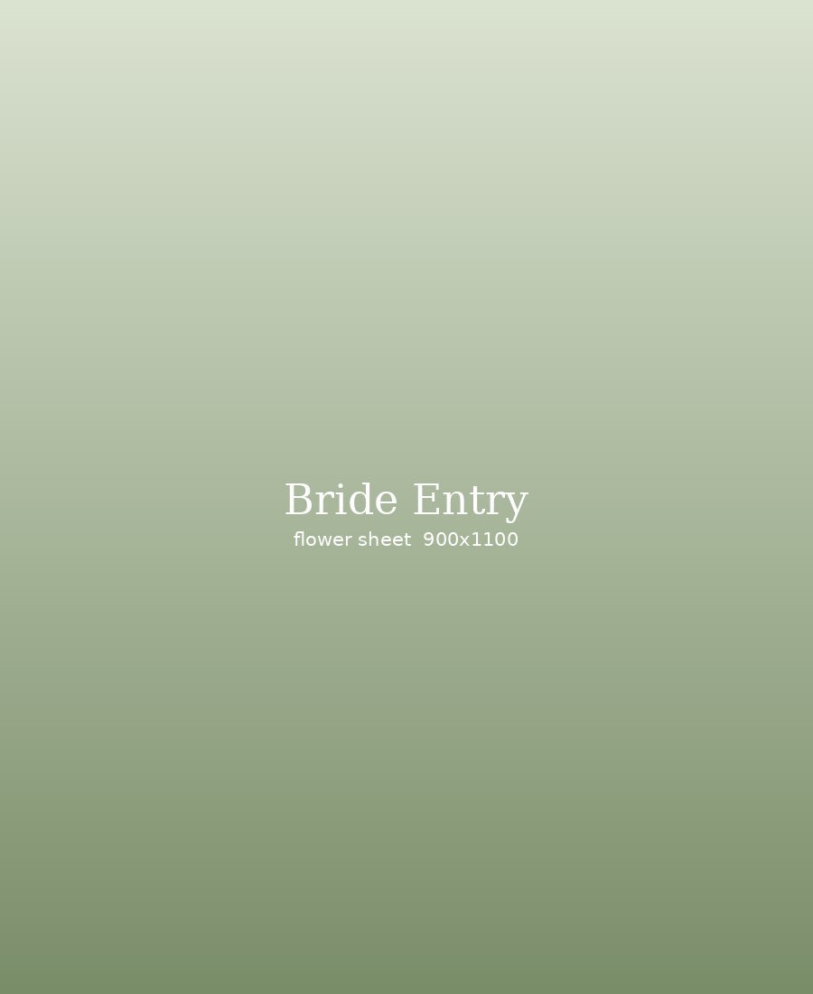 Bride entry under flower sheet