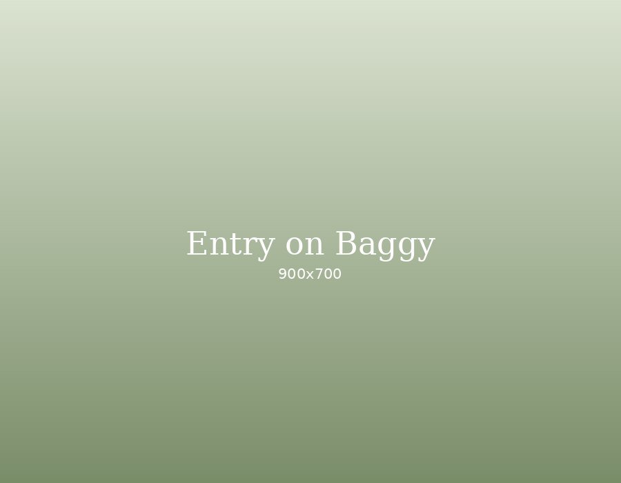Bride and groom entry on baggy